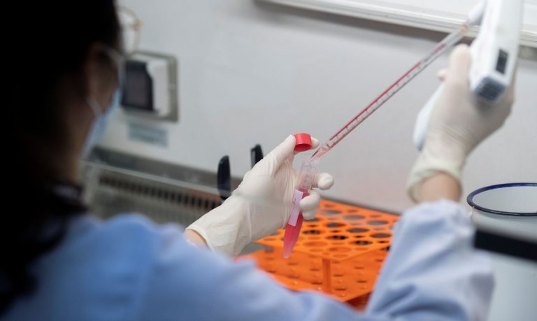1.956 pacientes venceram a enfermidade e estão curados.