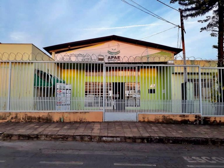 Com pandemia, APAE Igarapé luta para manter assistência às famílias