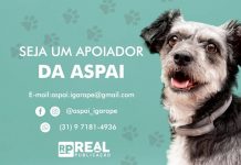 Você sabia que em Igarapé existe a Associação de Proteção Animal – Aspai?