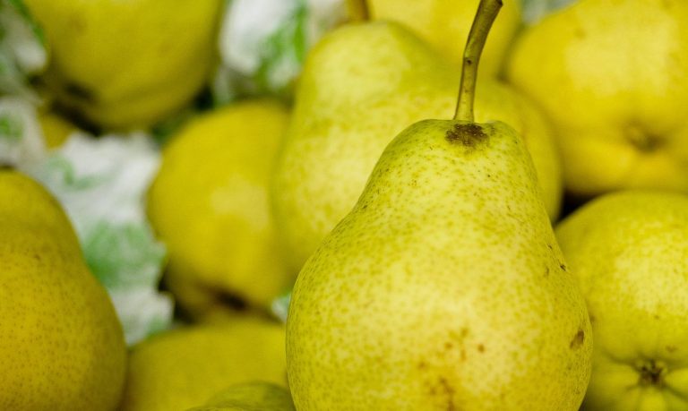 Como cuidar da alimentação para manter a imunidade das crianças?