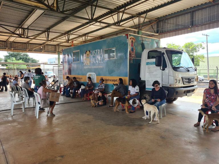 Igarapé distribui senhas para castração de cães e gatos neste sábado (20)