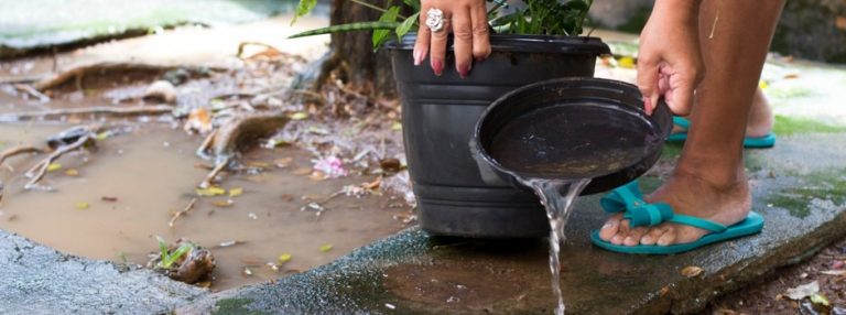 Minas Gerais registrou 63 óbitos por dengue; concentração de casos está em cidades pequenas