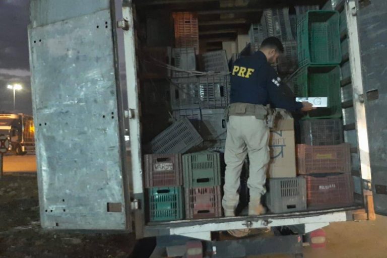 Carga com 150 mil maços de cigarros é apreendida na BR-381