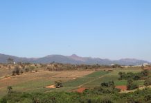 Calor e baixa umidade marcam os próximos dias em Igarapé