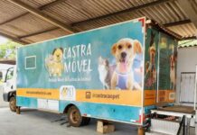 São Joaquim de Bicas abre 604 vagas para castração gratuita de cães e gatos