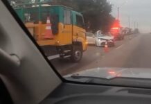 Motorista morre após carro atingir cavalo na BR-381, em São Joaquim de Bicas