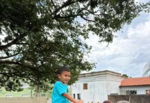 São Joaquim de Bicas inicia projeto de equoterapia para alunos da rede municipal